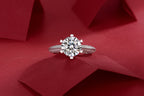 Destination of Love - 1-5 ct