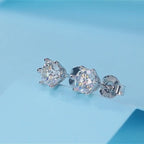 Rain And Snow - 0.5 ct