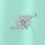 Hidden Poetry - 1 ct